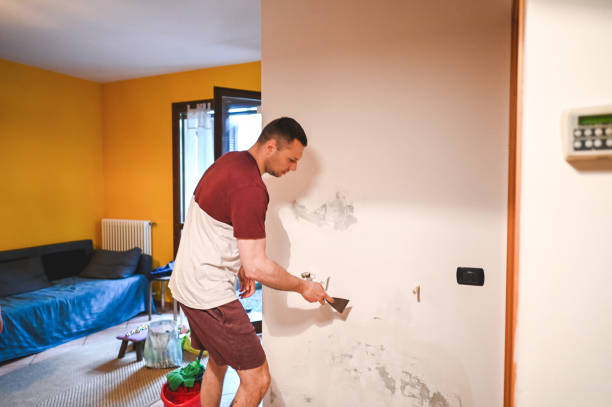 Best Mold Damage Repair  in Pardeeville, WI